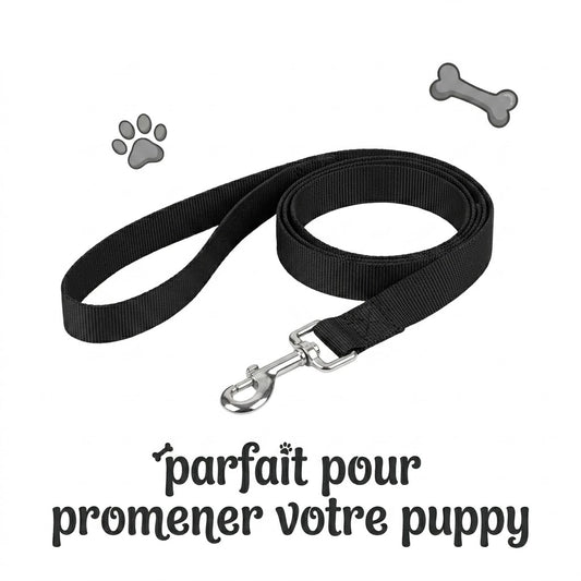 Laisse Puppy Longue Distance (Nylon Renforcé)