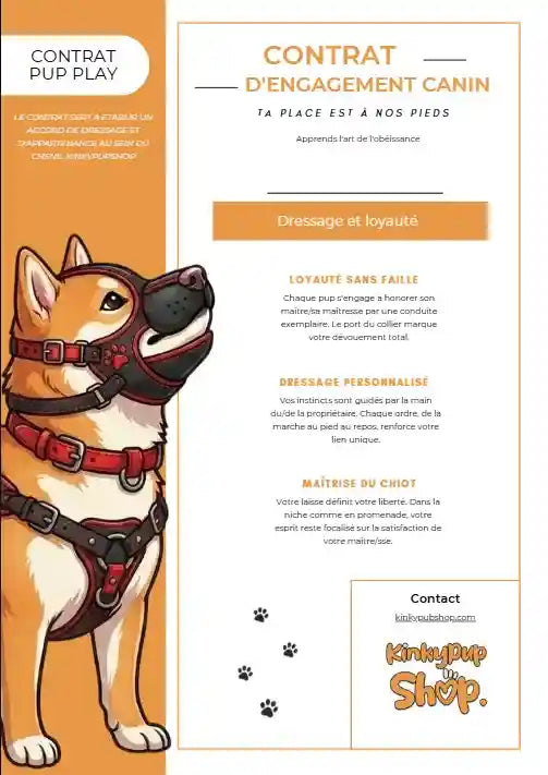 image de couverture du contrat petplay de notre boutique petplay le kinkypupshop, on y voit la première page sur l'image