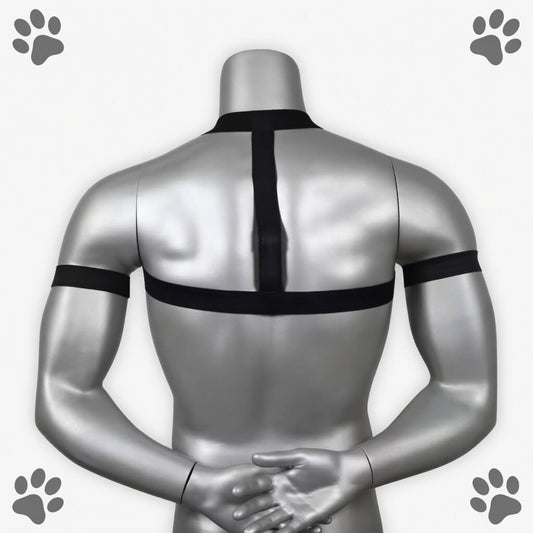 harnais petplay agility, vue de dos, il est noir et fin on y voit le mannequin de dos