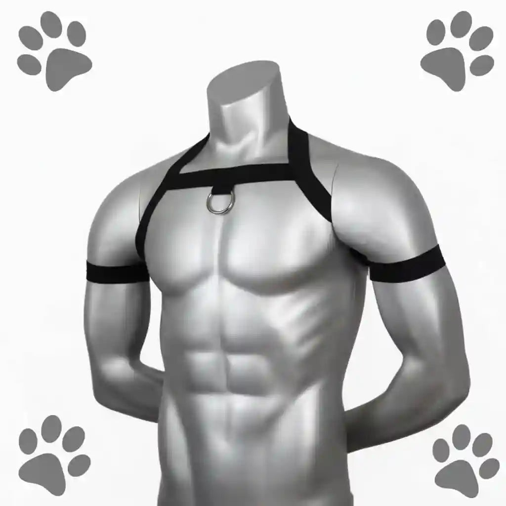 visuel à l'avant du harnais de petplay "harnais puppy agility"