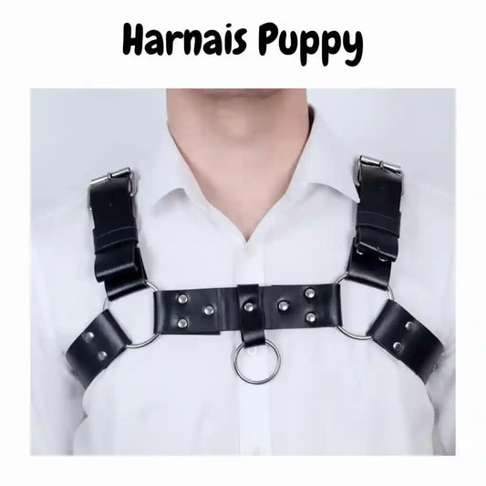 harnais vue de face, disponible sur le kinkypupshop