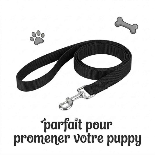 présentation de la laisse du kinkypupshop, parfaite pour promener votre puppy pendant vos séance petplay