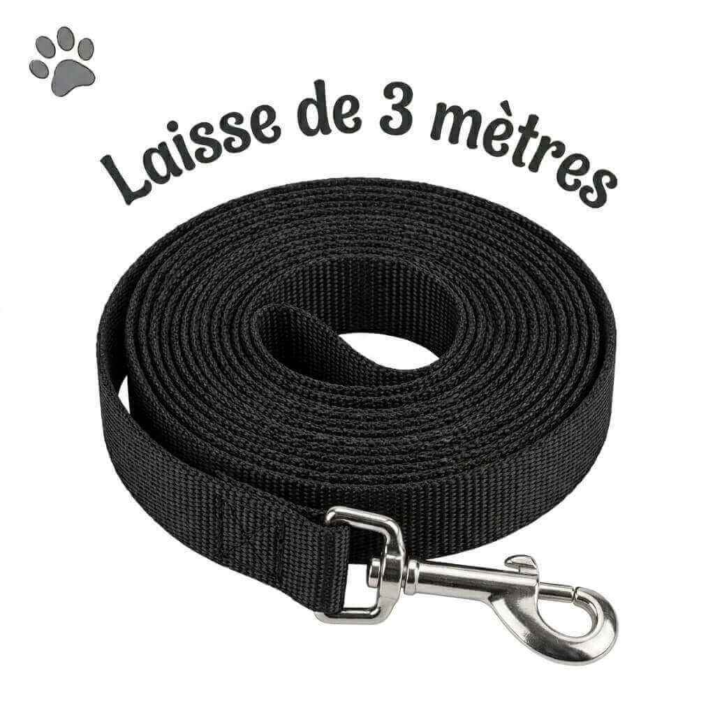 image de présentation d'un produit du kinkypupshop, la laisse en nylon de 3 mètres, là pour des sessions de petplay