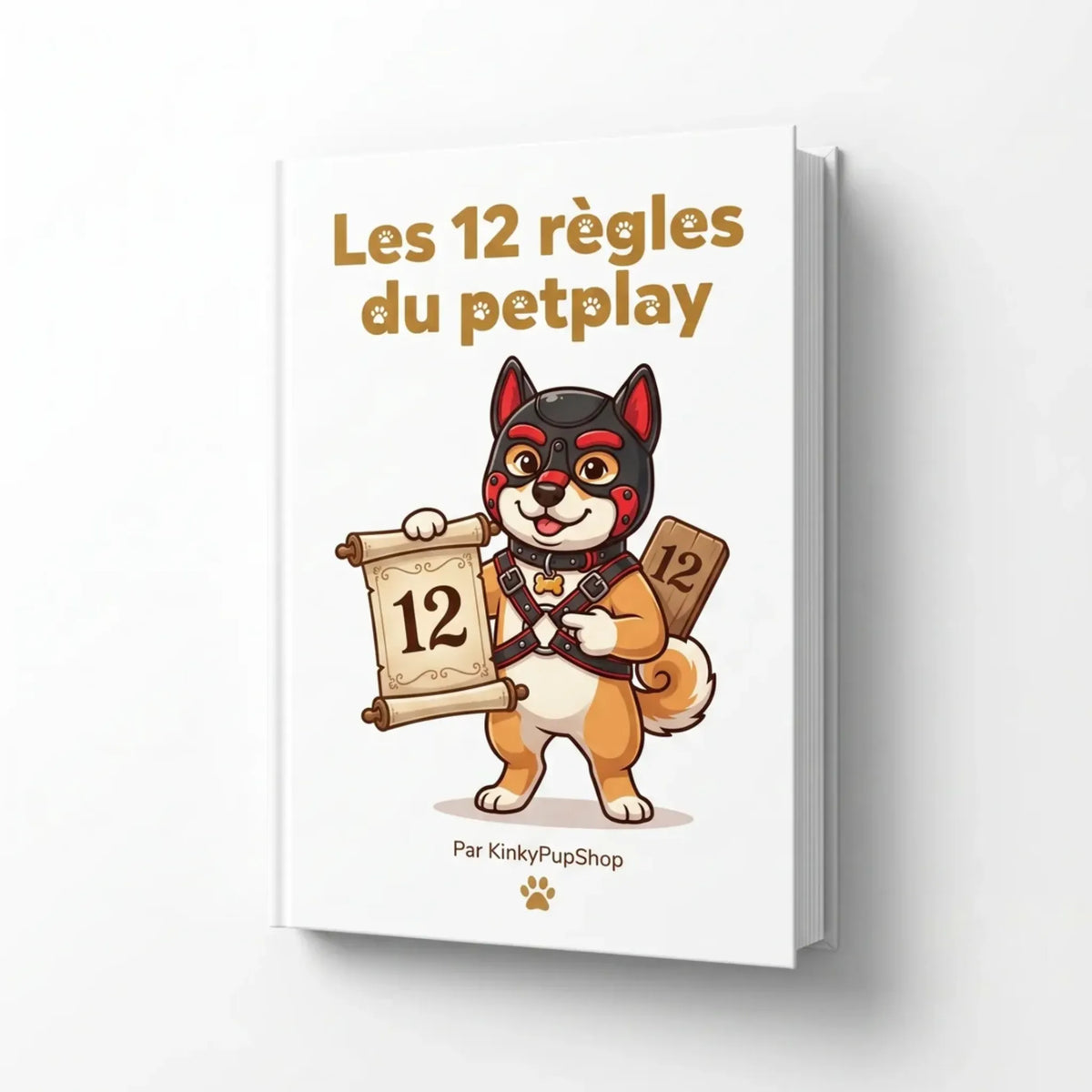 visuel du livre les 12 règles du petplay de kinkypupshop
