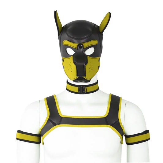 visuel du set puppy hood en jaune, avec collier, brassard, harnais et puppy hood
