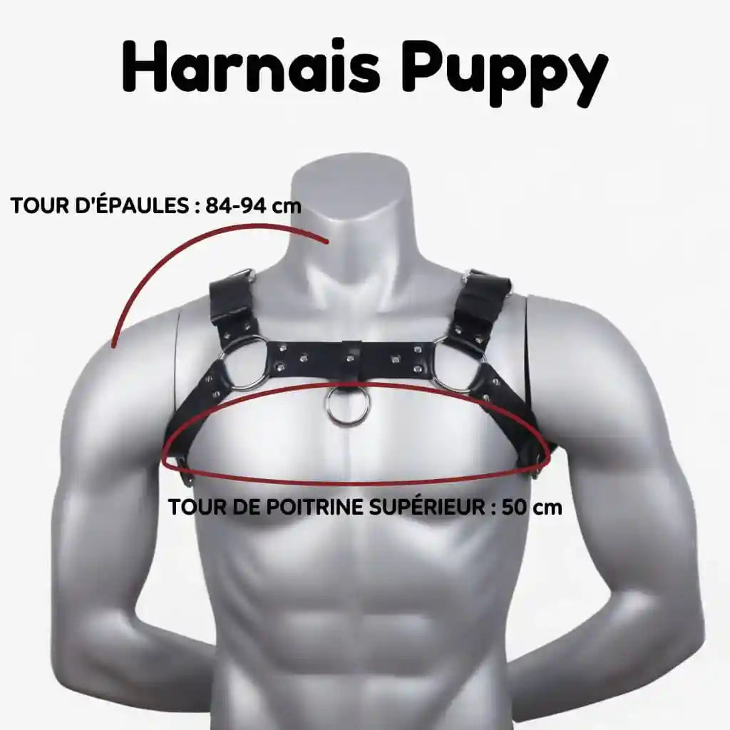 taille et caractéristique du harnais puppy disponible sur le kinkypupshop