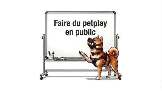 faire du petplay en public