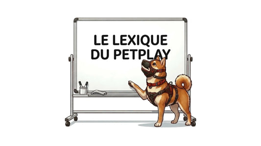 Le Lexique du Petplay : Les 15 Mots Indispensables pour Débuter