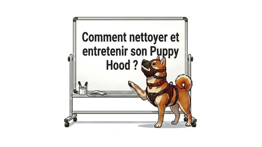 Comment nettoyer et entretenir son puppy hood ?
