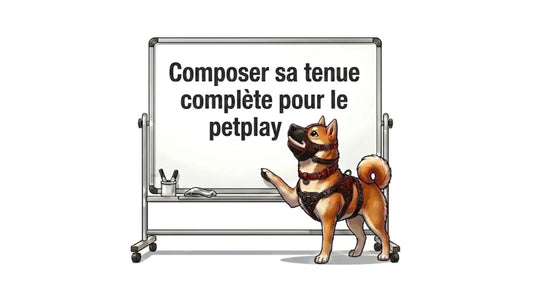Composer sa tenue pour le petplay