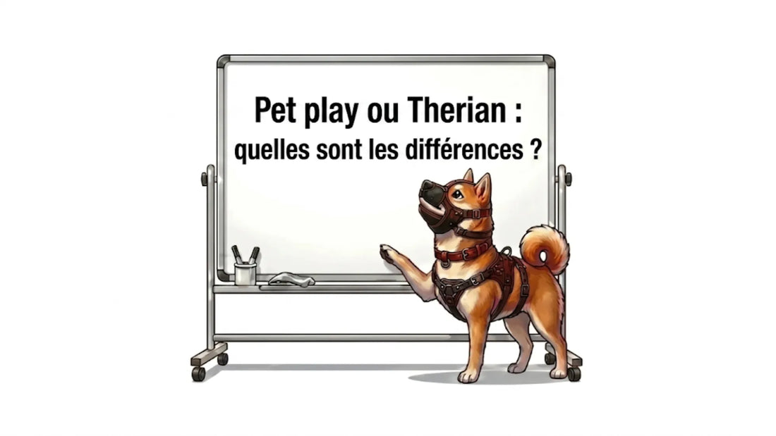 Pet Play ou therian, quelles sont les différences, article de blog sur le petplay