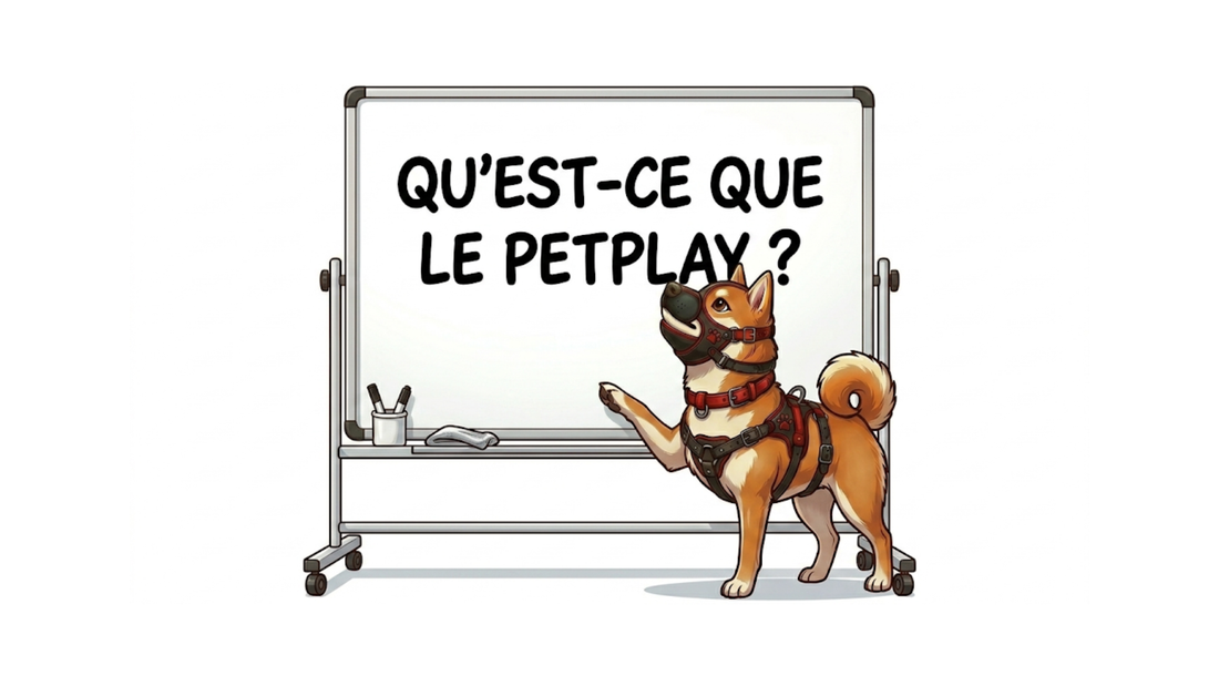 Qu'est ce que le PetPlay, image d'illustration de l'article