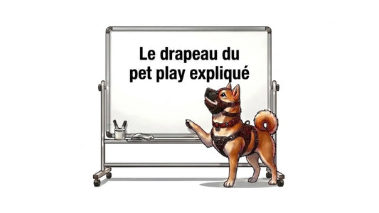 Le drapeau du petplay Expliqué