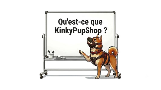 Qu'est ce que le Kinkypupshop ? 