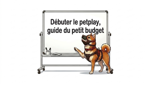 Débuter le petplay : Le guide d’achat malin pour se lancer sans se ruiner