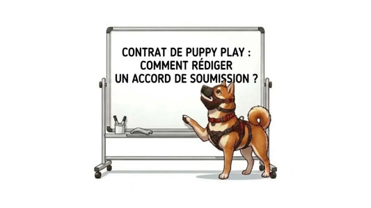 Contrat de puppy play : comment rédiger un accord de soumission ?