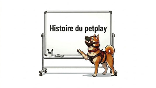 L'histoire du petplay, image d'illustration principal de l'article de blog du kinkypupshop
