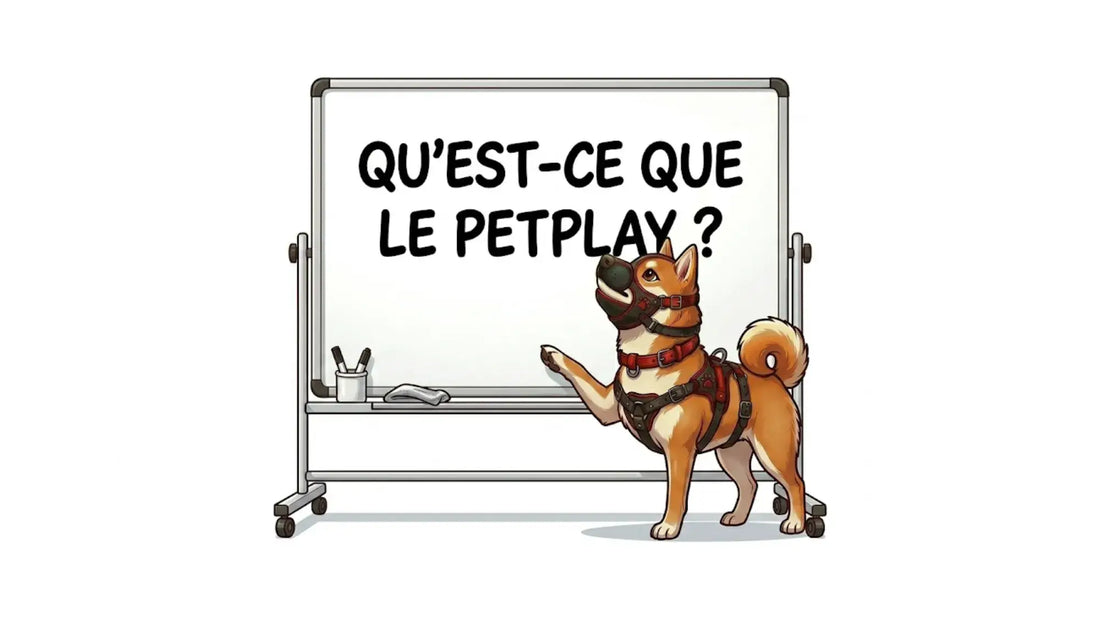 illustration de couverture de l'article de blog "qu'est ce que le petplay", qui explique ce qu'est le petplay, comment il se pratique et avec qui