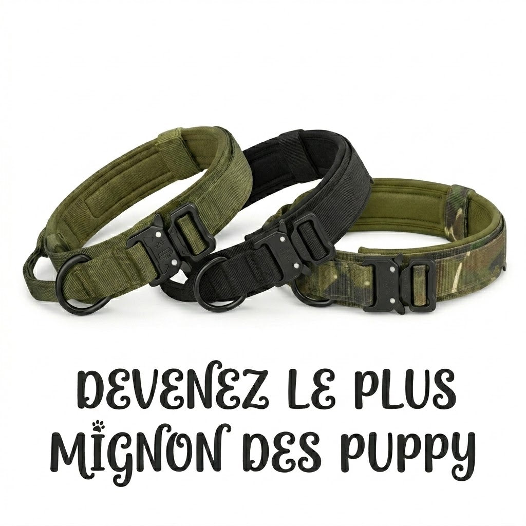 Collier Urbain Rembourré pour puppy - Accessoire PuppyPlay