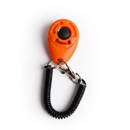 Clicker d'obéissance Petplay orange vif avec dragonne extensible pour le poignet.