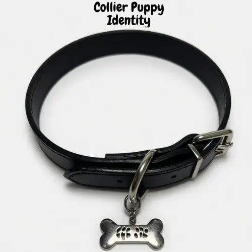 Image de présentation du collier puppy identity, un collier pour le petplay et le puppyplay