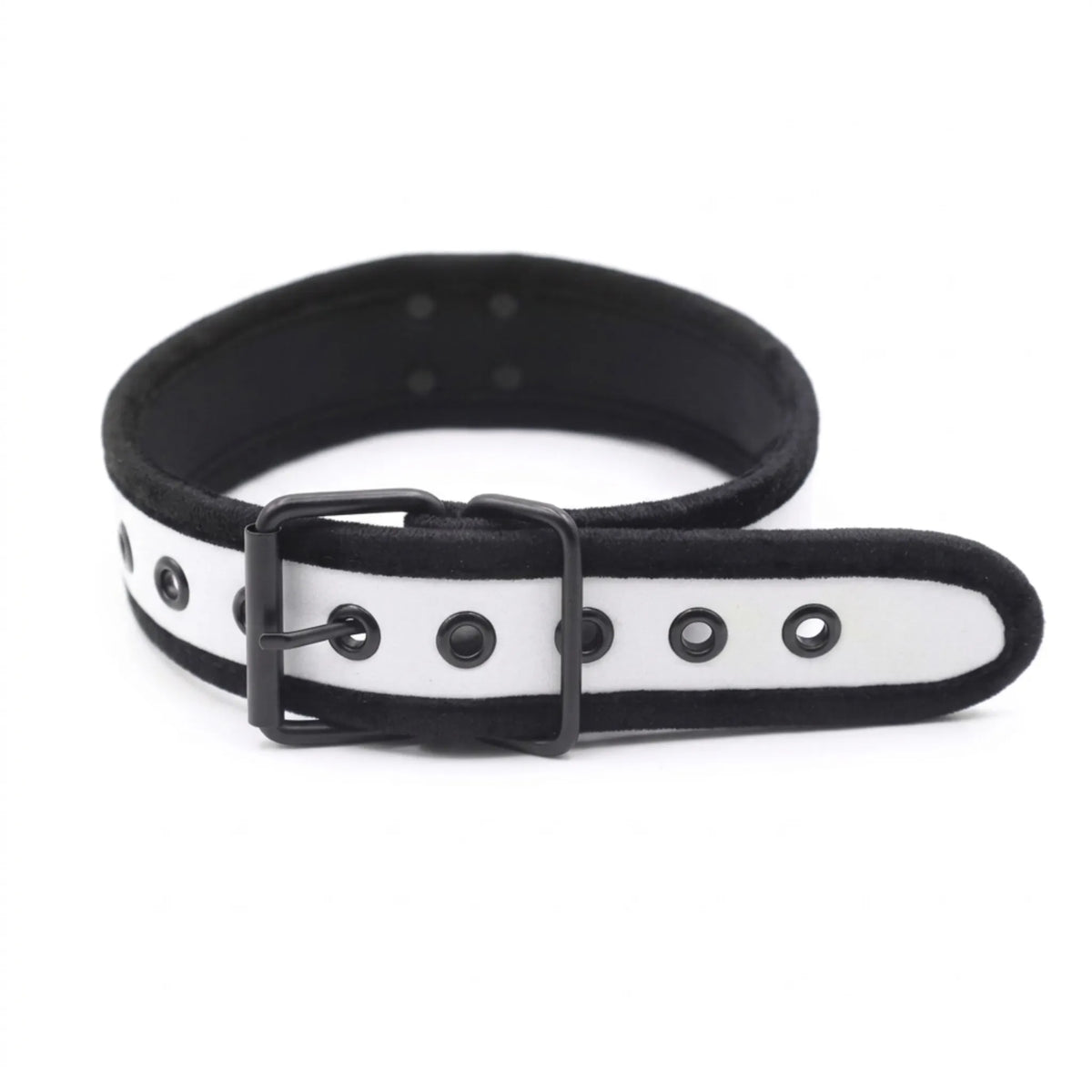 Collier chiot fétiche en néoprène blanc et noir avec boucle ardillon.