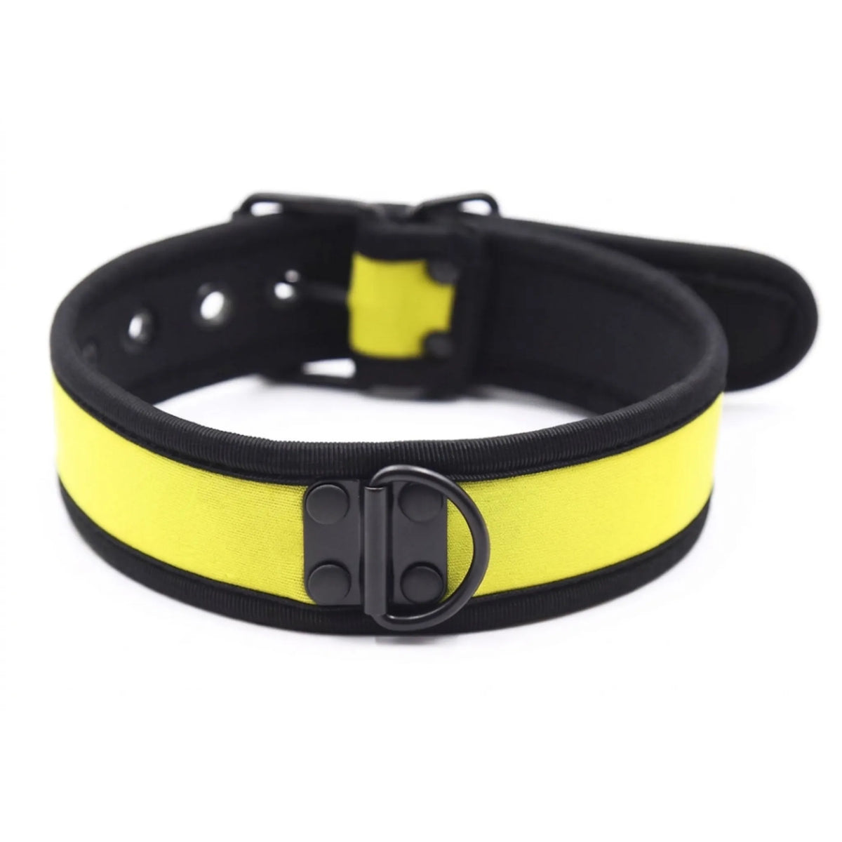 Collier de chiot Alpha Collar en néoprène souple noir et liseré jaune.