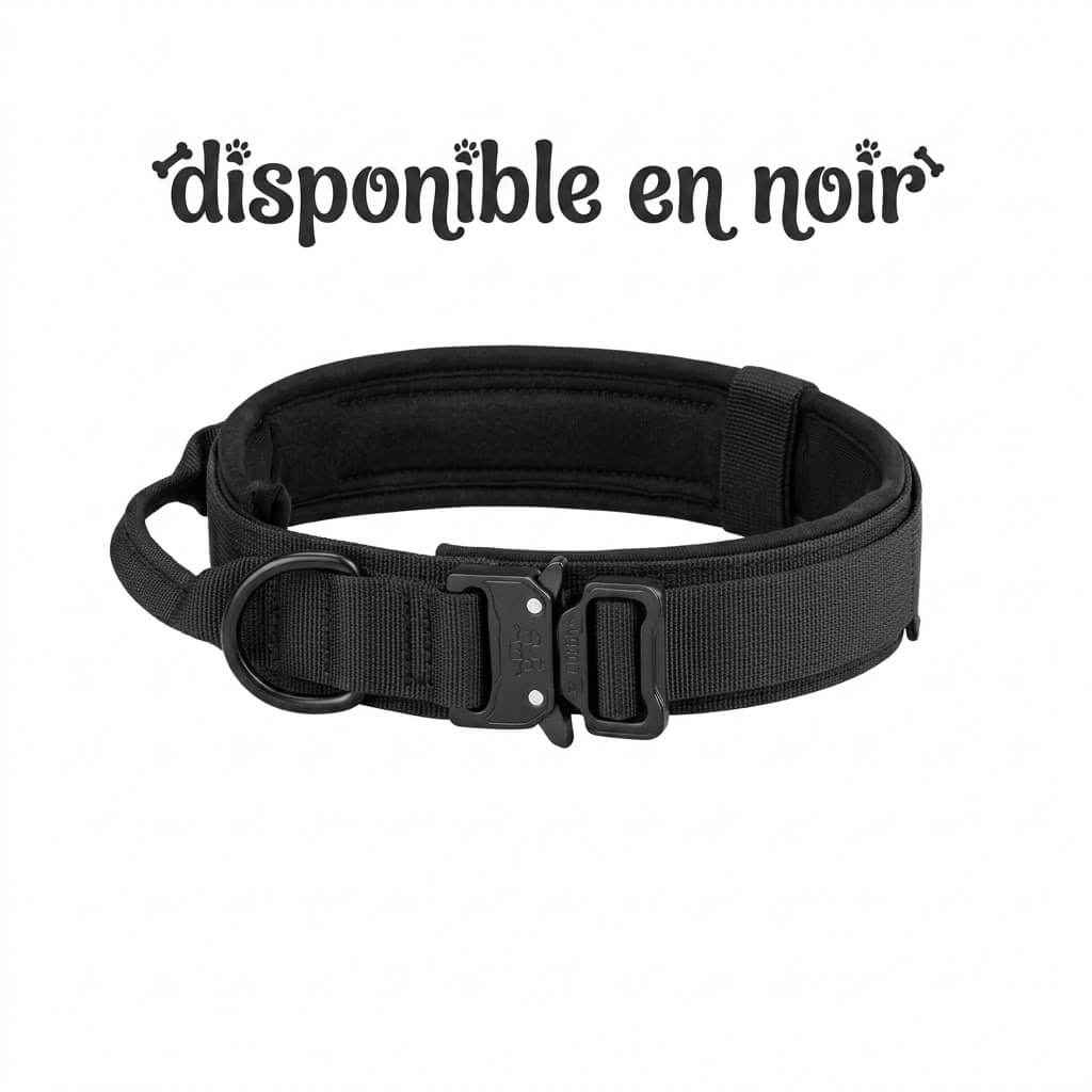 L'image représente le collier en noir il sert au petplay et au puppy play et il est de couleur noir