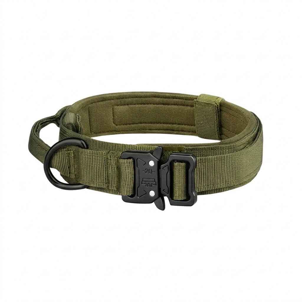 Image de notre collier rembouré disponible à la vente sur le kinkypupshop, le collier est vert 