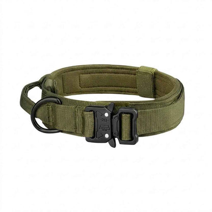 Image de notre collier rembouré disponible à la vente sur le kinkypupshop, le collier est vert 