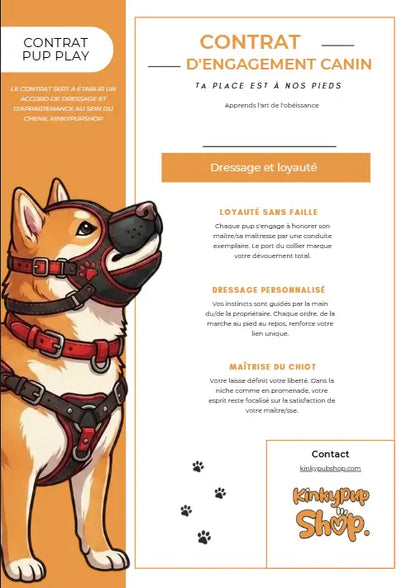image de couverture du contrat petplay de notre boutique petplay le kinkypupshop, on y voit la première page sur l'image