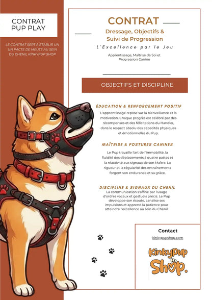 visuel de la première page du contrat sur le petplay et le dressage du kinkypupshop