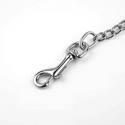 image du crochet de la laisse en metal du kinkypupshop