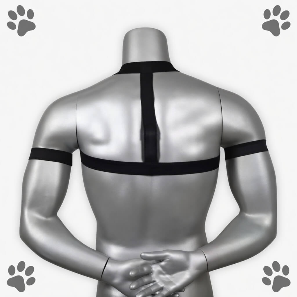 harnais petplay agility, vue de dos, il est noir et fin on y voit le mannequin de dos