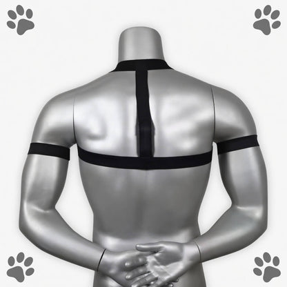harnais petplay agility, vue de dos, il est noir et fin on y voit le mannequin de dos