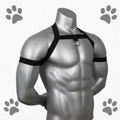 image montrant le harnais petplay puppy agility vu de côté
