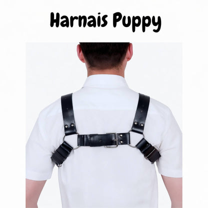le harnais disponible sur le kinkypupshop en cuir vue de dos
