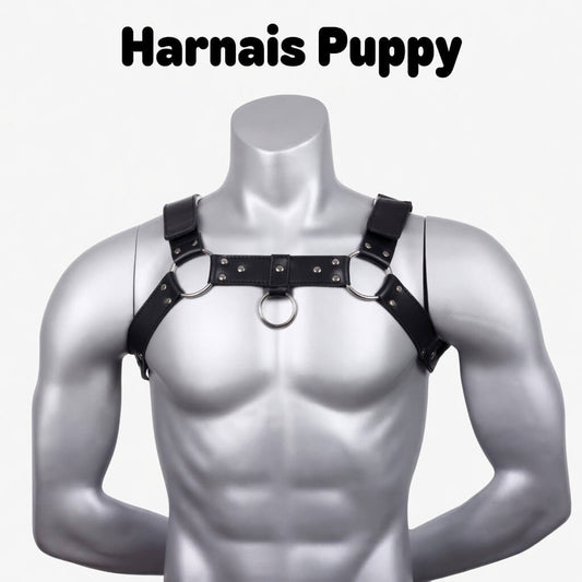 image du harnais vue de face, il est en cuir