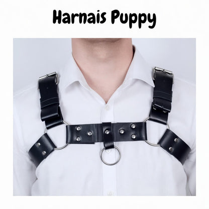 harnais vue de face, disponible sur le kinkypupshop