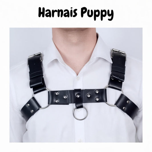 harnais vue de face, disponible sur le kinkypupshop