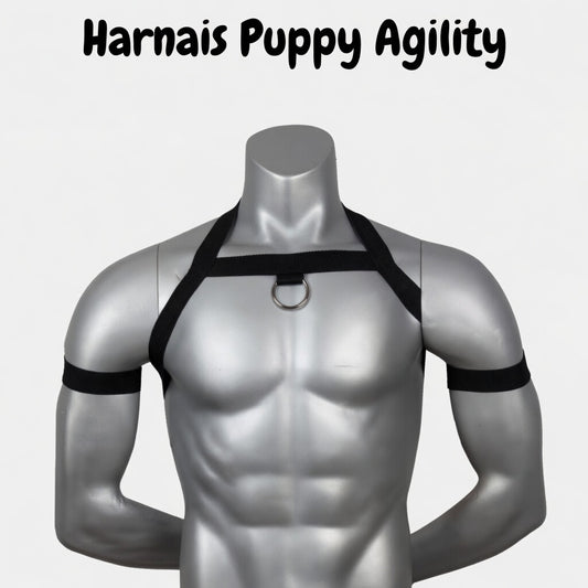 Harnais Puppy "Agility" - Harnais Petplay
