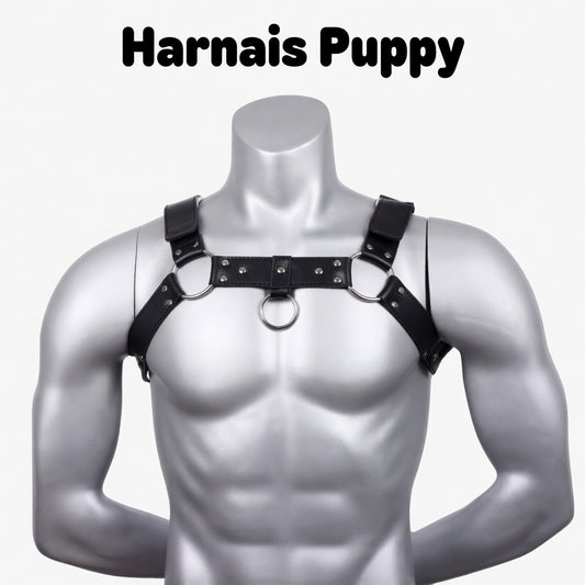 Harnais de Dressage Puppy "Master" - Harnais Petplay