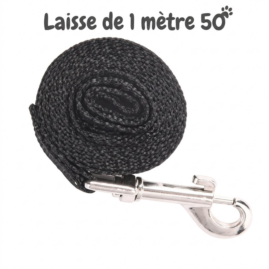 présentation en image de notre laisse de 1 mètre 50 elle est disponible sur la boutique et réservé au adeptes du petplay