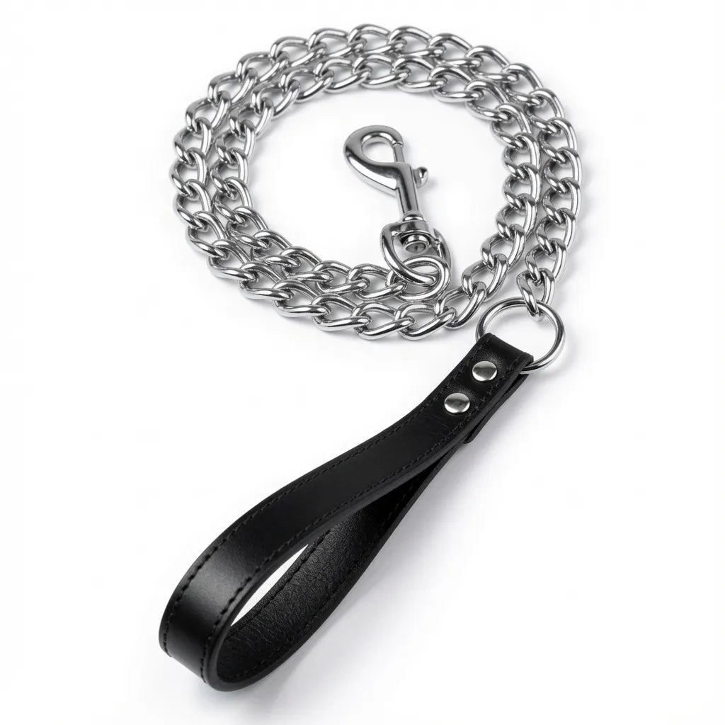 image de laisse en métal, elle a une lanière en cuir noir, elle sert à des séances de puppyplay kinky