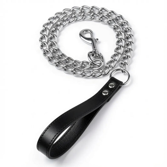 image de laisse en métal, elle a une lanière en cuir noir, elle sert à des séances de puppyplay kinky