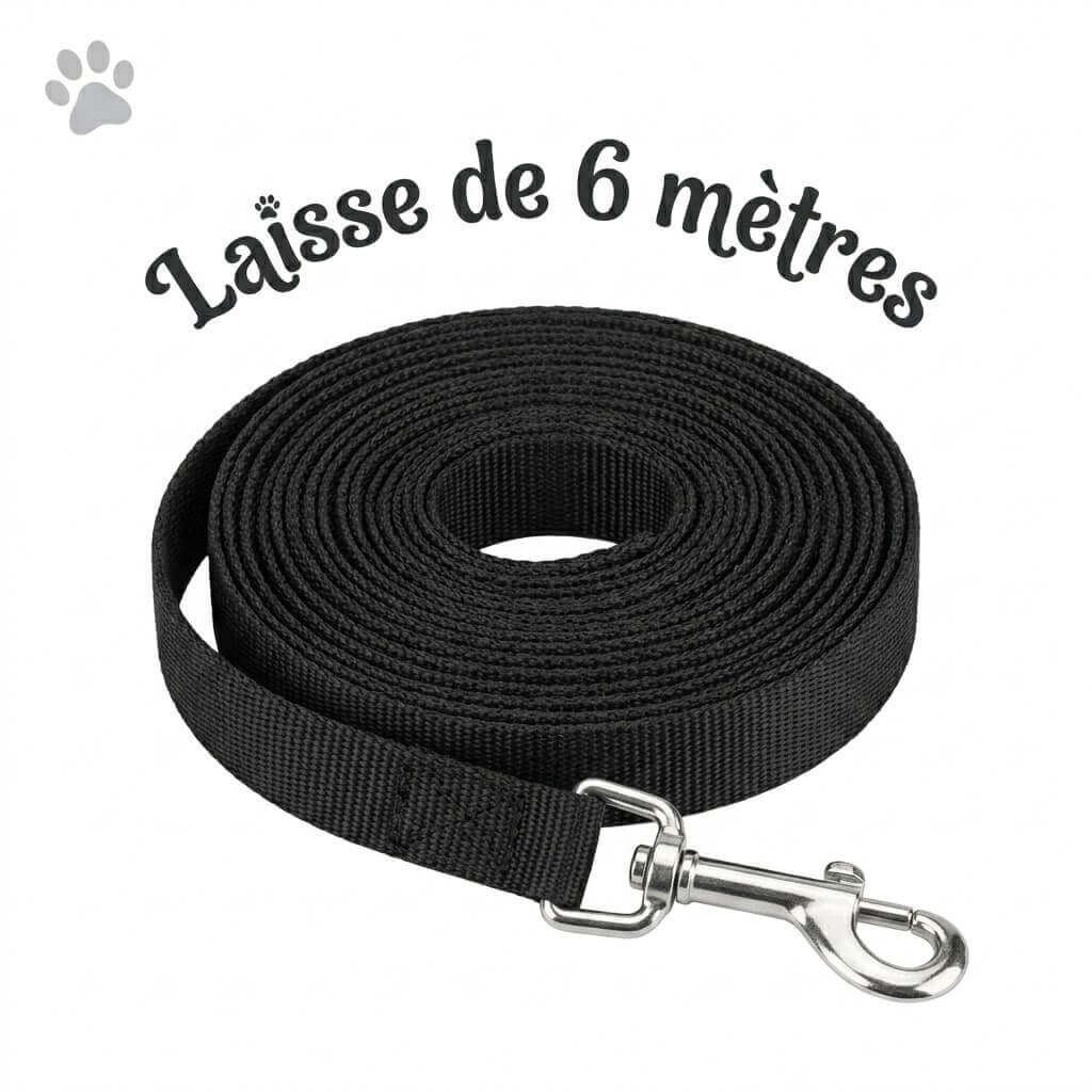 présentation de la laisse en nylon de 6 mètres du kinkypupshop, on la voit enroulé sur elle même