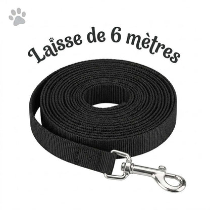 présentation de la laisse en nylon de 6 mètres du kinkypupshop, on la voit enroulé sur elle même