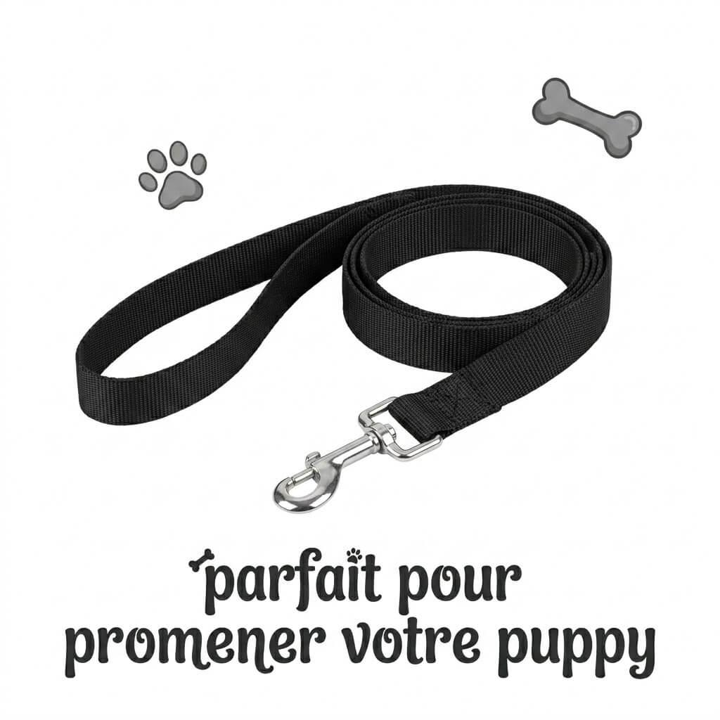 présentation de la laisse du kinkypupshop, parfaite pour promener votre puppy pendant vos séance petplay