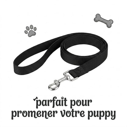 présentation de la laisse du kinkypupshop, parfaite pour promener votre puppy pendant vos séance petplay