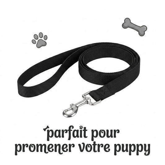 présentation de la laisse du kinkypupshop, parfaite pour promener votre puppy pendant vos séance petplay